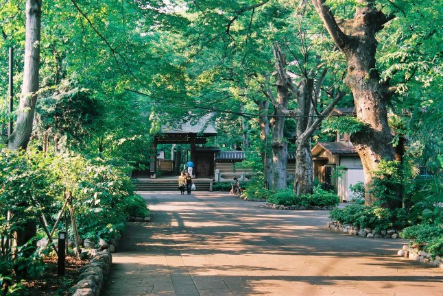 2000頃【写真日記】九品仏浄真寺(庭園化前とあと)【普通のお寺でした】_b0116271_15493838.jpg