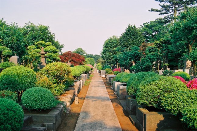 2000頃【写真日記】九品仏浄真寺（庭園化前とあと）【普通のお寺でした】_b0116271_15503715.jpg