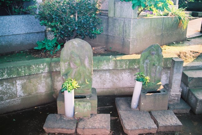 2000頃【写真日記】九品仏浄真寺(庭園化前とあと)【普通のお寺でした】_b0116271_15503722.jpg