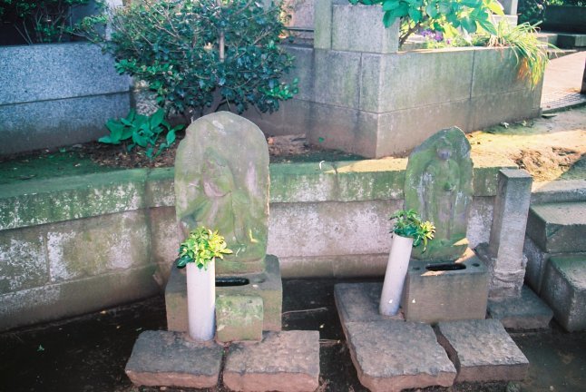 2000頃【写真日記】九品仏浄真寺（庭園化前とあと）【普通のお寺でした】_b0116271_15503722.jpg