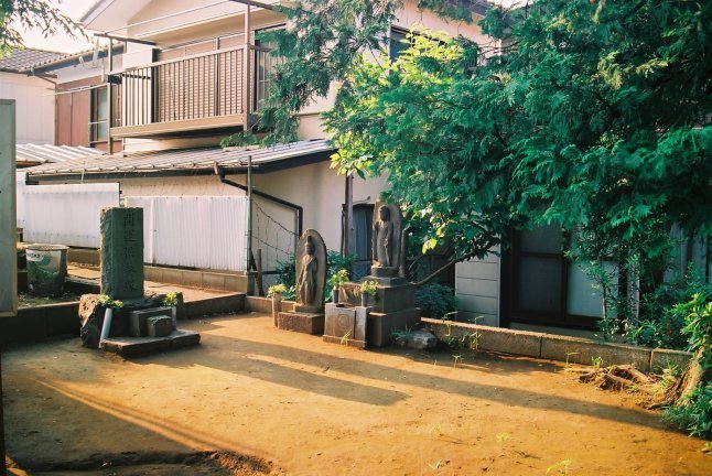 2000頃【写真日記】九品仏浄真寺（庭園化前とあと）【普通のお寺でした】_b0116271_15522947.jpg