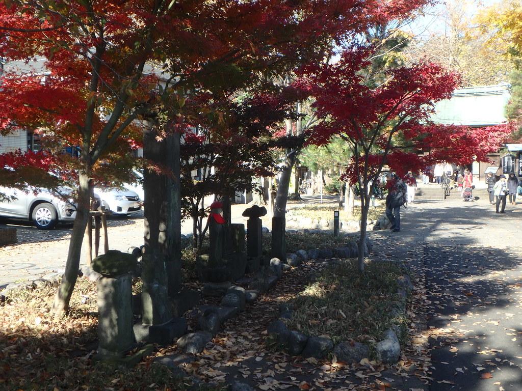 2000頃【写真日記】九品仏浄真寺(庭園化前とあと)【普通のお寺でした】_b0116271_18140823.jpg