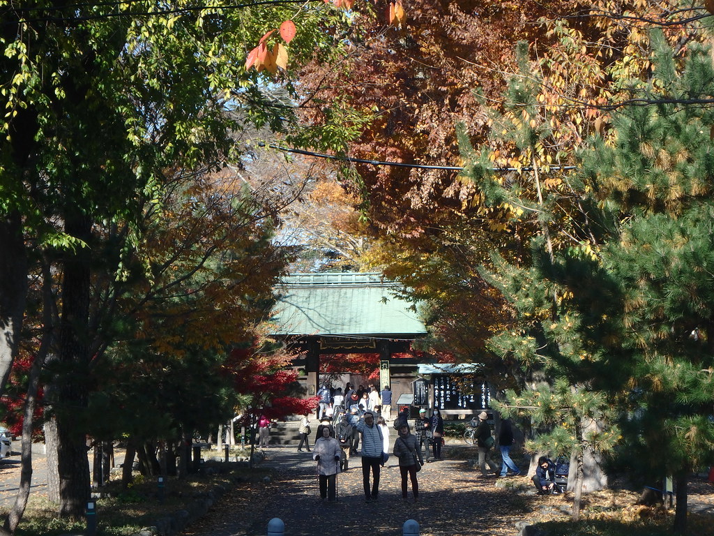 2000頃【写真日記】九品仏浄真寺（庭園化前とあと）【普通のお寺でした】_b0116271_22234517.jpg