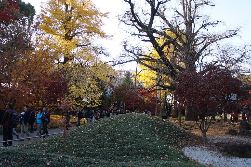 2000頃【写真日記】九品仏浄真寺（庭園化前とあと）【普通のお寺でした】_b0116271_22242140.jpg