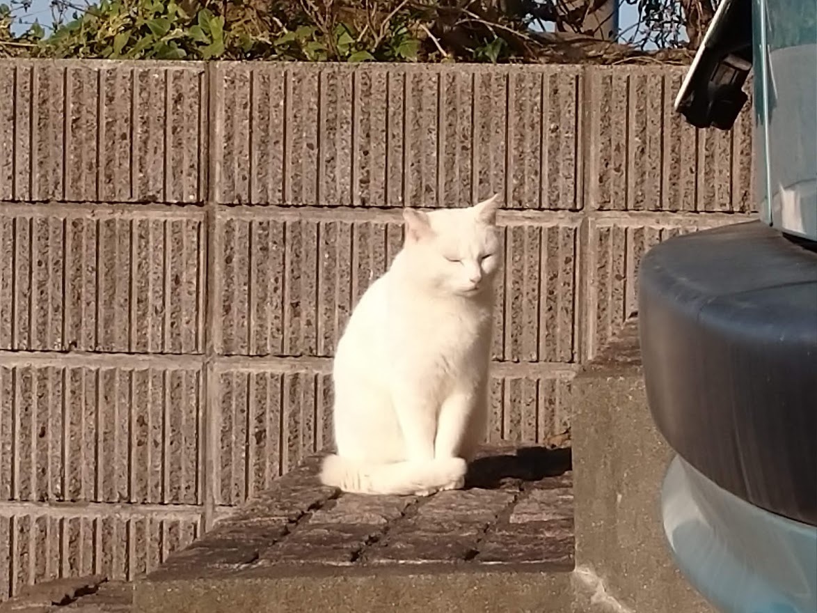 アトリエに置き土産_f0197985_18090323.jpg