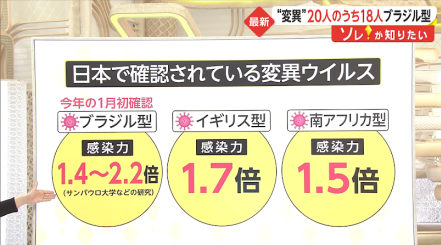 ブラジル という言葉だけで嫌がられる時代なのか ハチドリのブラジル サンパウロ 時々日本 日記