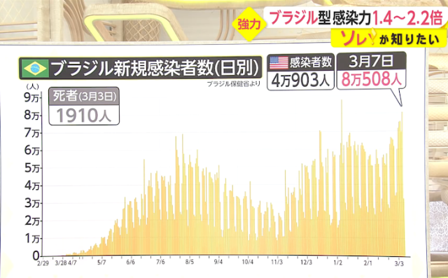 ブラジル という言葉だけで嫌がられる時代なのか ハチドリのブラジル サンパウロ 時々日本 日記