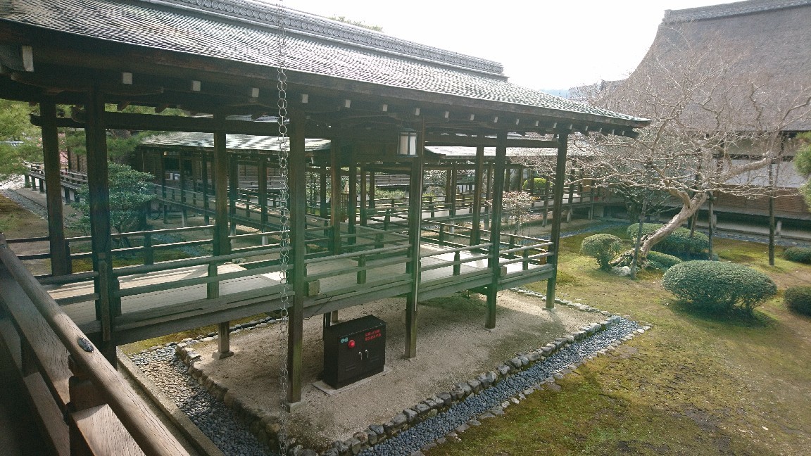 松尾園芸で買ったバラ_c0404712_11420785.jpg