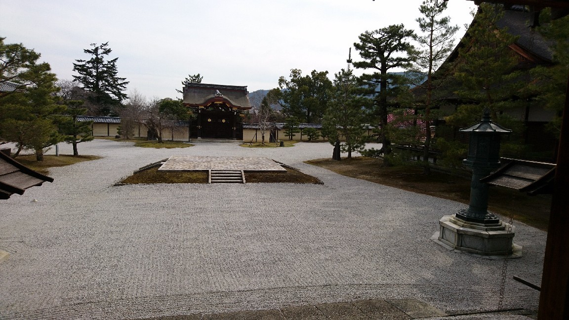 松尾園芸で買ったバラ_c0404712_11420811.jpg