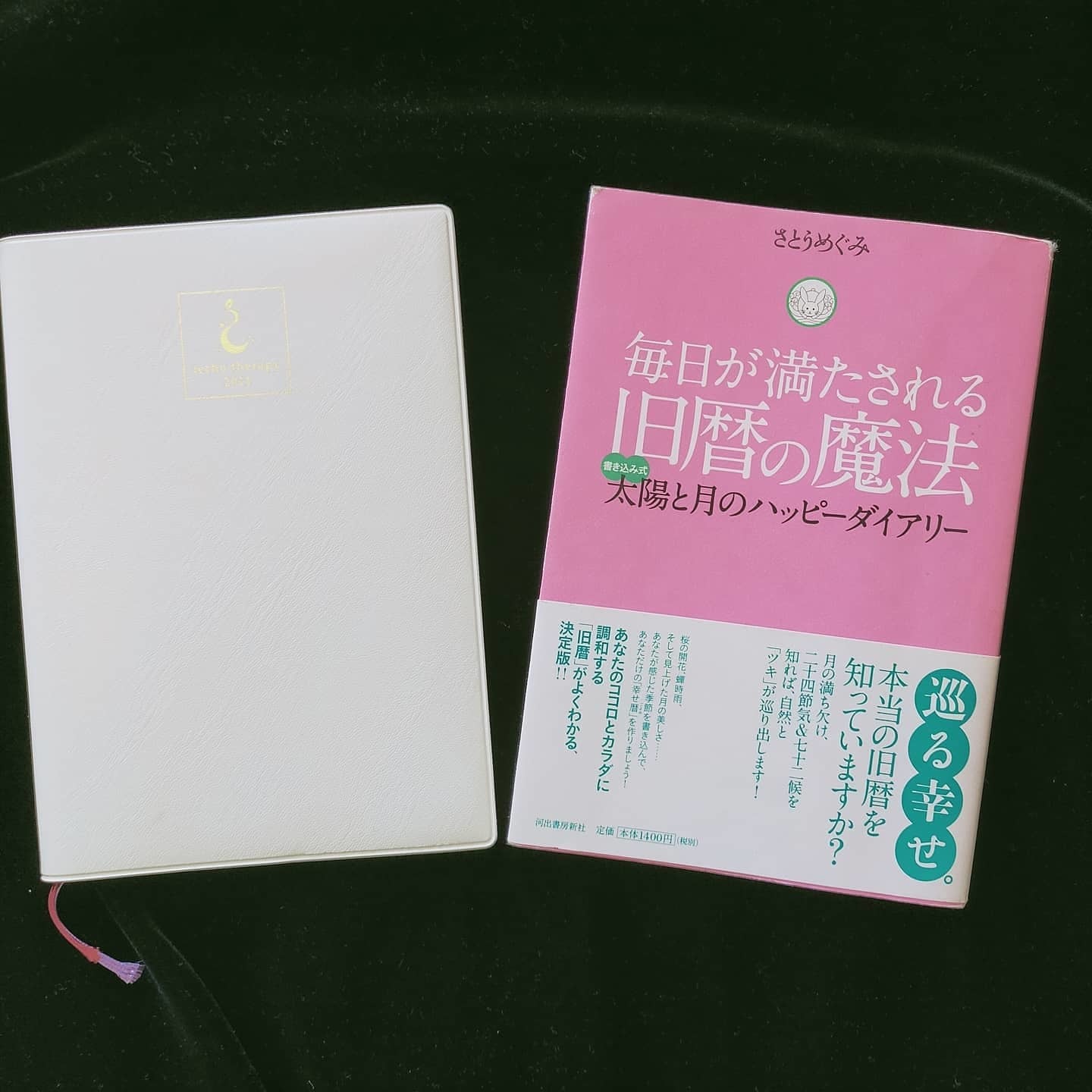 210311 七十二候「桃始笑」(ももはじめてさく)_f0164842_16171651.jpg