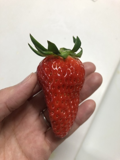でっかいイチゴ_e0179943_20593192.jpeg