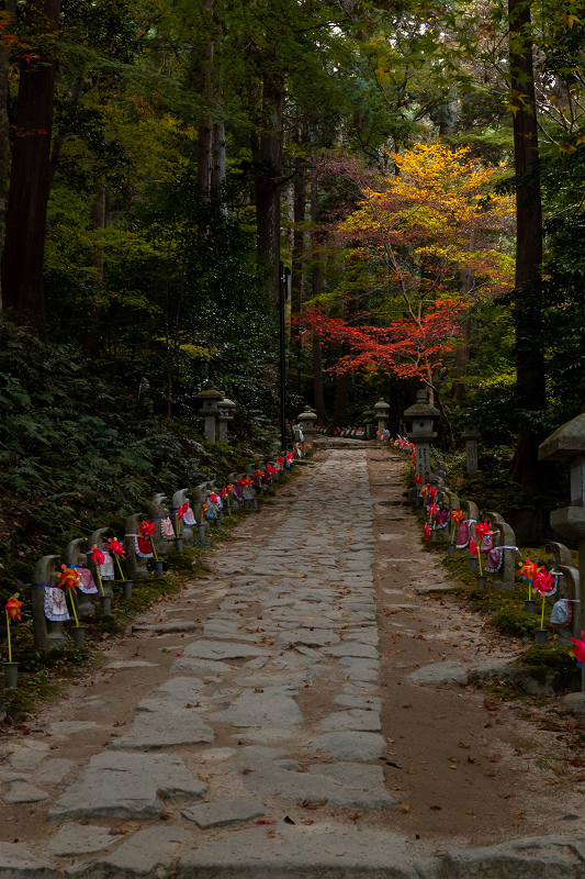2020紅葉きらめく滋賀　深まる秋（金剛輪寺・後編）_f0155048_17012911.jpg