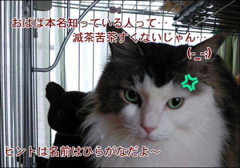 超お久しぶりで~す!_d0139352_08354270.jpg