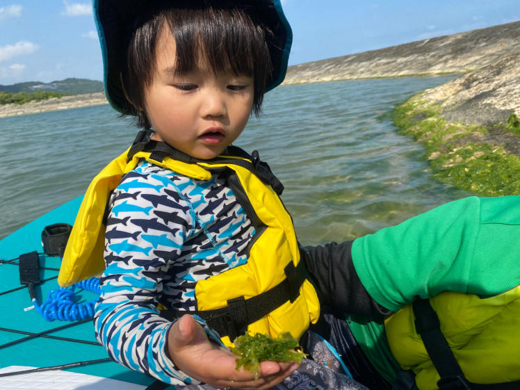 青空ようちえん〔平日〕今日はSUPに乗って2歳と3歳の海デート。穏やかな午後の海をのんびりと、たっぷりと楽しみました。_d0363878_19104831.jpg