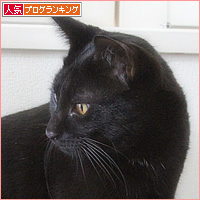 猫のお風呂_a0389088_06322463.jpg