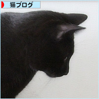 猫のお風呂_a0389088_06322490.jpg