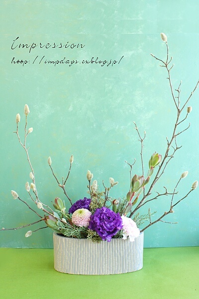 定期装花から 姫こぶし Impression Days