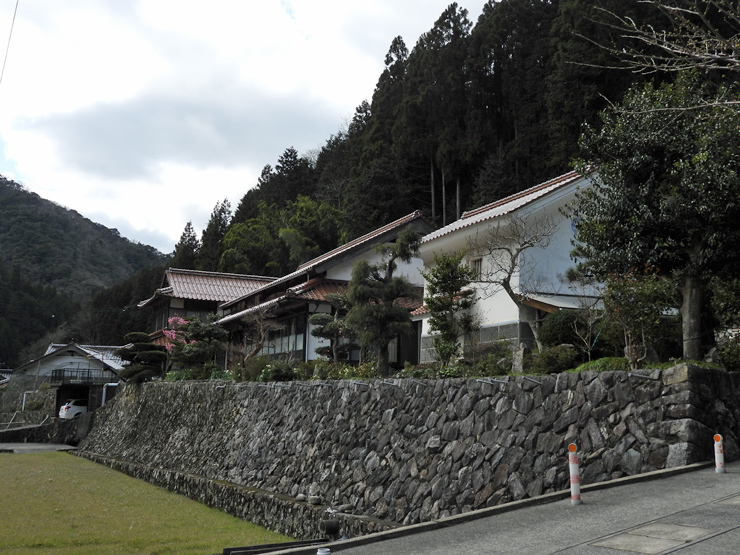 ユキワリイチゲ_f0214649_05053256.jpg