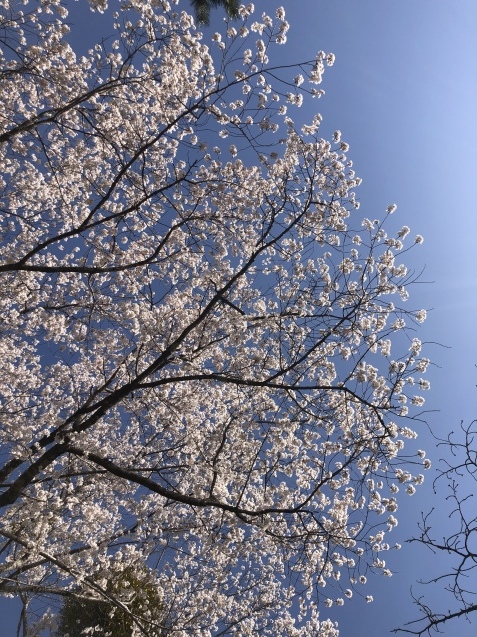 黙祷。_a0394574_21451083.jpeg