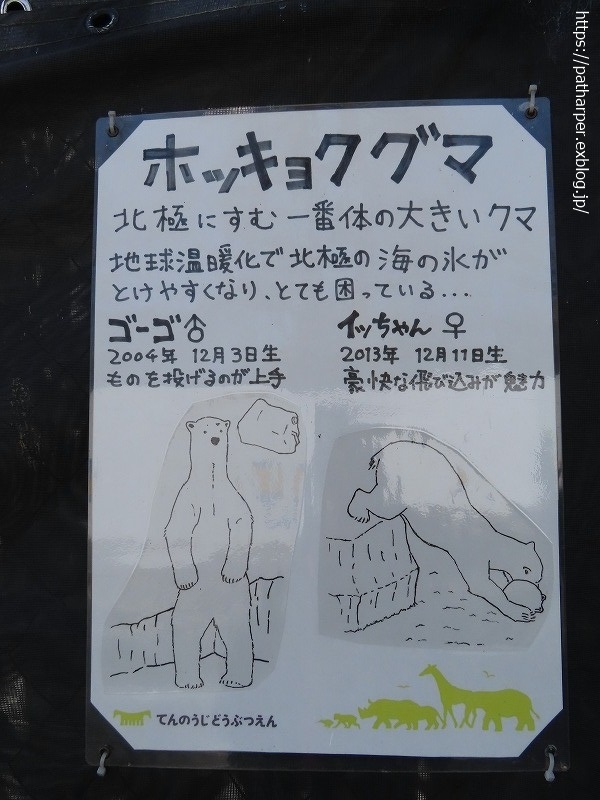 ２０２１年２月　天王寺動物園　その１_a0052986_07420148.jpg