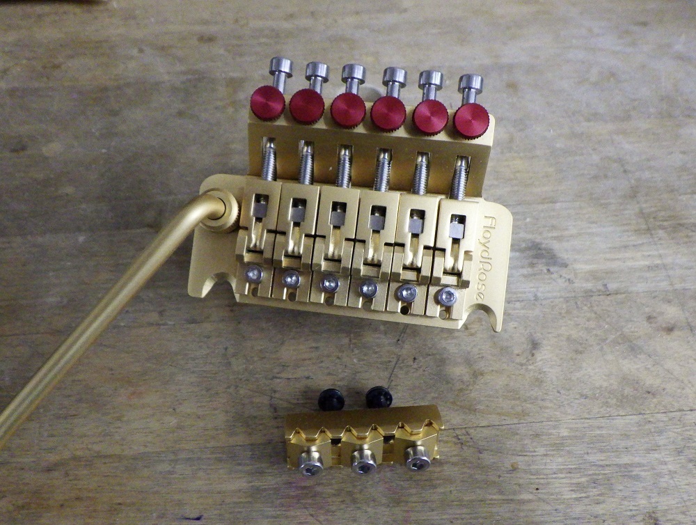 Floyd Rose 40th Anniversary モデル!_d0299605_19594181.jpg
