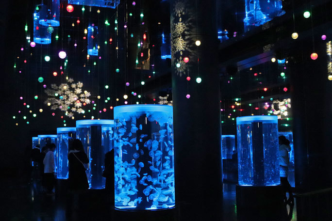 アクアパーク品川 音と光のクラゲ空間 ジェリーフィッシュランブル Snow Aquariumヴァージョン 続々 動物園ありマス アクアパーク品川 音と光のクラゲ空間 ジェリーフィッシュランブル Snow Aquariumヴァージョン 続々 動物園ありマス