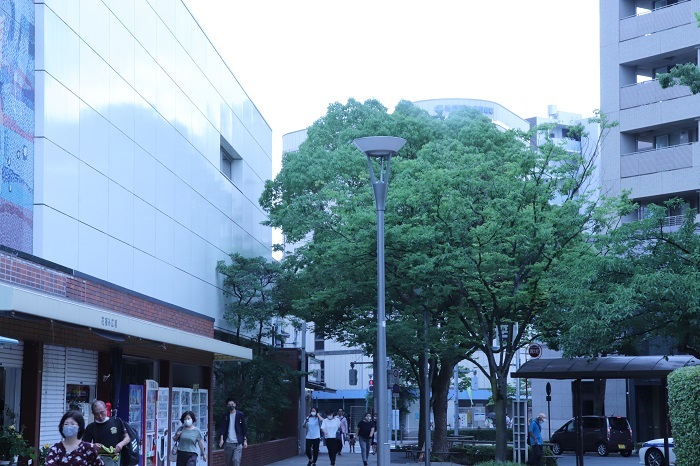 人気者だったYさんを偲ぶ会に。_a0214329_21323373.jpg