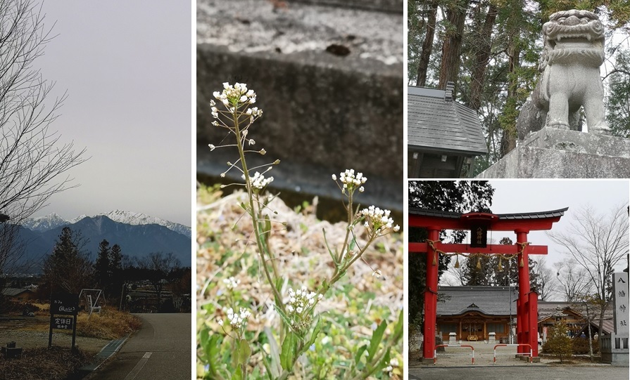 八幡神社に_a0212730_21170918.jpg