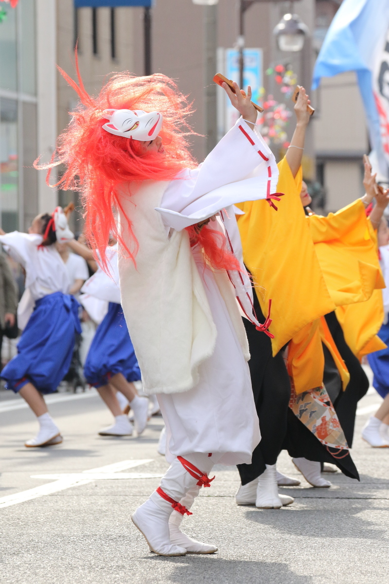 第13回かわさき楽大師よさこい (4)  横浜百姫隊さん_f0364847_14135513.jpg