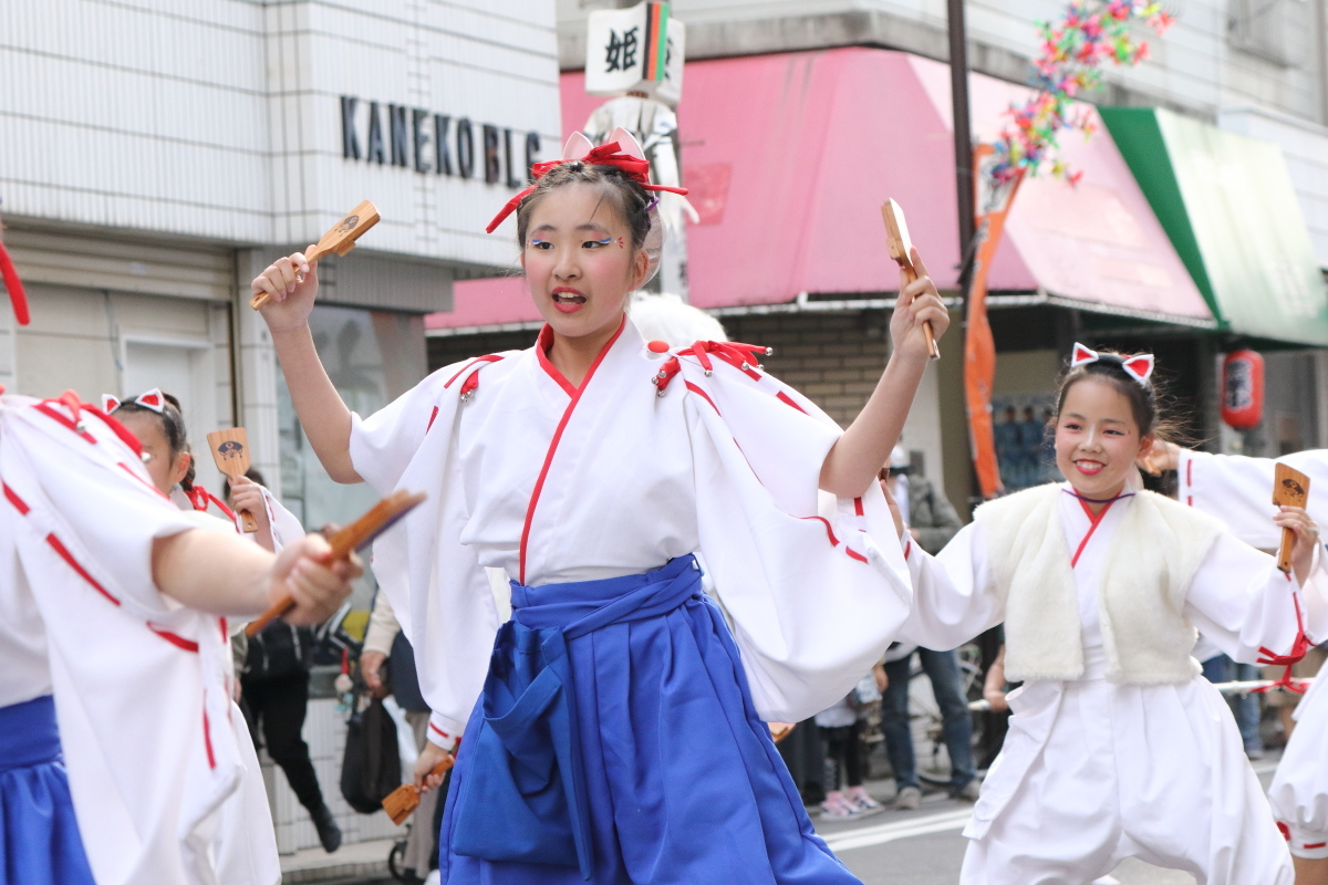 第13回かわさき楽大師よさこい (4)  横浜百姫隊さん_f0364847_14145596.jpg