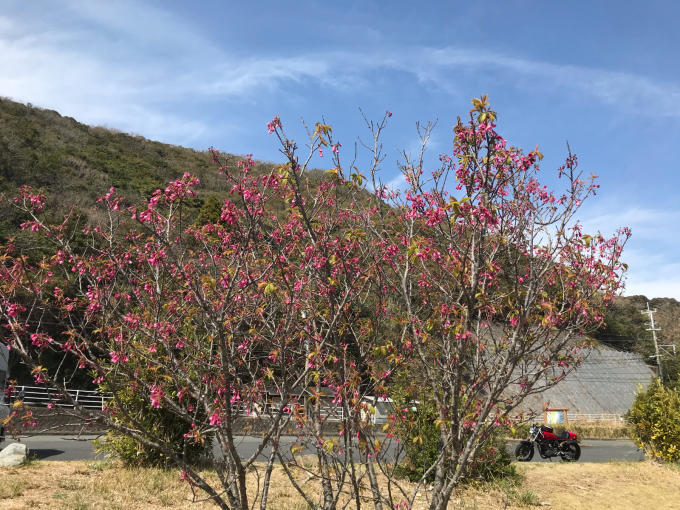 私的ブログ…好きな道ですきなことと好き勝手なブログ^_^編。_d0132688_11335142.jpg