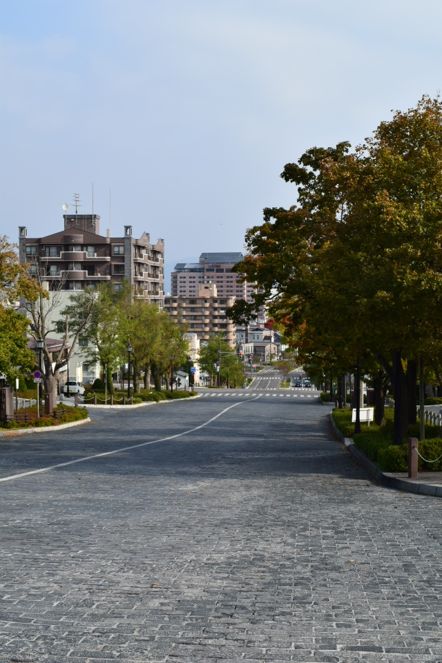 昭和9年函館大火と建築家・関根要太郎の活動について・1_f0142606_20071802.jpg