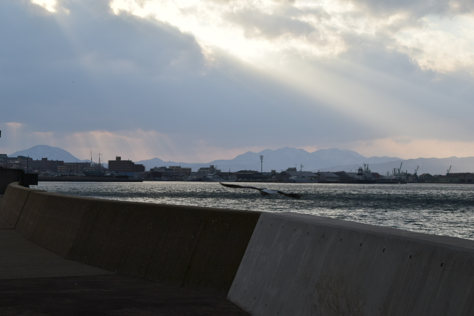 昭和9年函館大火と建築家・関根要太郎の活動について・1_f0142606_22214430.jpg