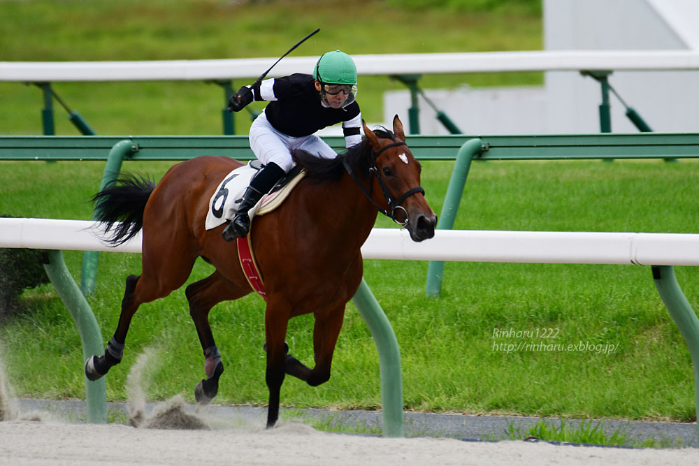 2020.9.13 盛岡競馬場☆リュウセイオジョウ【Ryusei Ojo】_f0250322_14304696.jpg