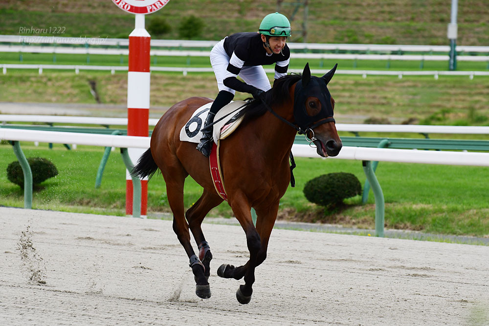 2020.9.13 盛岡競馬場☆リュウセイオジョウ【Ryusei Ojo】_f0250322_14305444.jpg