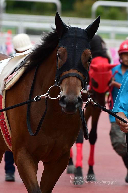 2020.9.13 盛岡競馬場☆リュウセイオジョウ【Ryusei Ojo】_f0250322_14311826.jpg