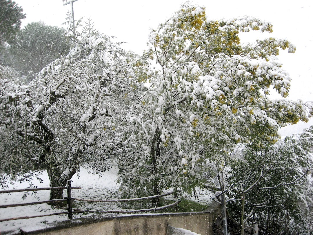 第３８号「イタリアの3月、雪山の散歩」_f0234936_07175482.jpg