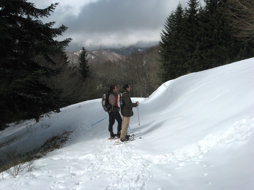 第３８号「イタリアの3月、雪山の散歩」_f0234936_07280995.jpg