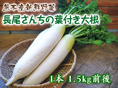 店長一押しのお米『七城米 長尾さんちのこだわりのお米』大好評販売中!冬の土つくりと美味しさの訳(後編)_a0254656_15210108.jpg