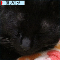 思い出のかまくら_a0389088_16565902.jpg