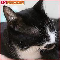 思い出のかまくら_a0389088_16565960.jpg