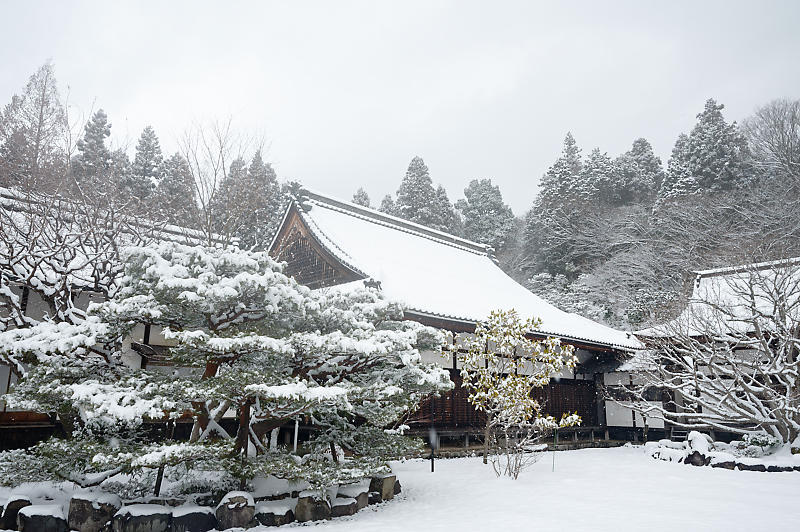 雪景色@滋賀県湖東　百済寺　其の一_f0032011_18582622.jpg