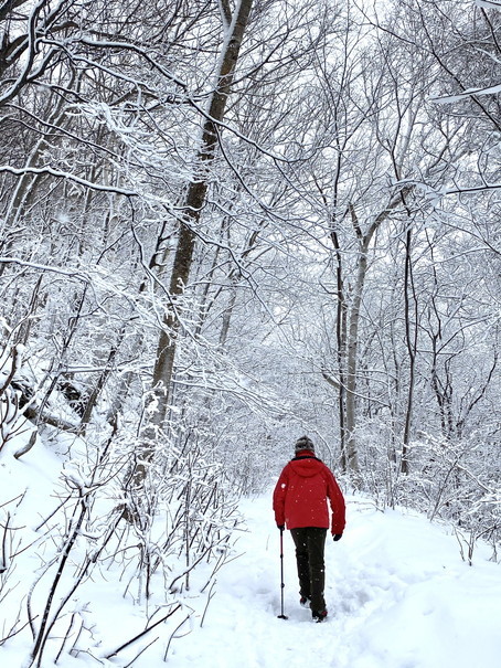 2021年1月 『札幌の裏庭を登る、そして食べる』 January 2021 \"Winter Hiking and Eating in Sapporo\"_c0219616_09583463.jpg