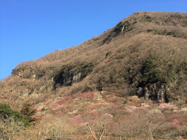 湯河原町　湯河原幕岩でクライミング　【正面壁】　　　　　Rock Climbing at Makuiwa in Yugawara, Kanagawa_f0308721_19583603.jpg