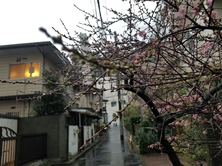春雷のなかをゴッホに会いに_e0016828_10240044.jpg