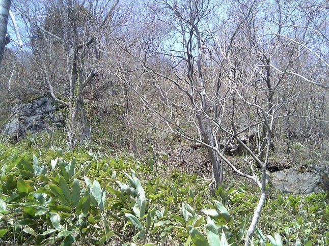 2005/5GW 青森怪所めぐり~梵珠山、三内丸山遺跡、恐山、日本中央の碑、キリストの墓、大石神ピラミッド、仏ヶ浦遠景ほか(暫定報告書)携帯デジカメ版_b0116271_17262761.jpg