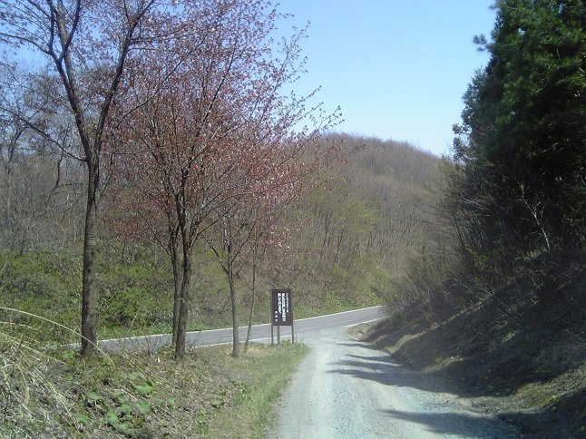 2005/5GW 青森怪所めぐり~梵珠山、三内丸山遺跡、恐山、日本中央の碑、キリストの墓、大石神ピラミッド、仏ヶ浦遠景ほか(暫定報告書)携帯デジカメ版_b0116271_17282307.jpg
