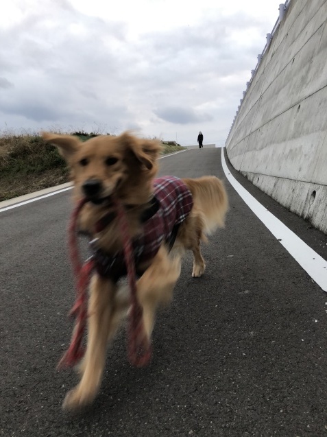 準備と覚悟を。_a0394574_21401383.jpeg
