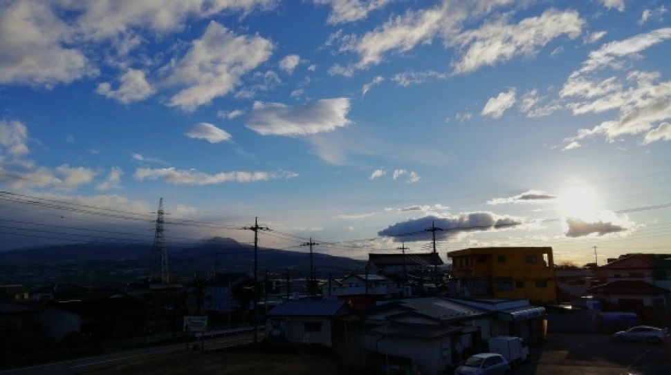 仕事場 嶺公園花探し_c0212083_18381658.jpg