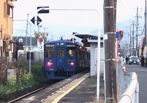 きのうからjr指宿枕崎線を走るという青い列車 自家焙煎コーヒー Gaya通信 きのうからjr指宿枕崎線を走るという青い列車 自家焙煎コーヒー Gaya通信